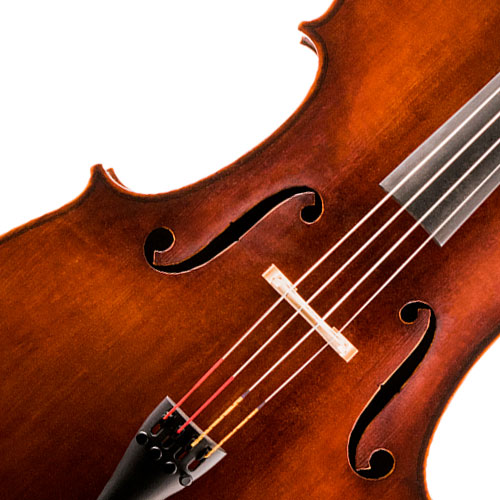 image of a Cellos  
