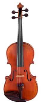 image of a SR71 Professional Violin
