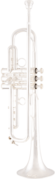 image of a LT190SL1B Professional Bb Trumpet