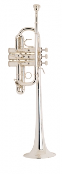 image of a D180S Professional D Trumpet