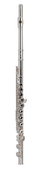 image of a FL711 Student Closed Hole Flute