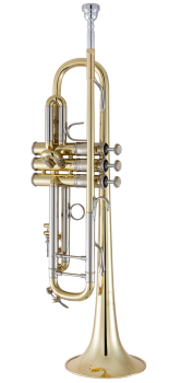 image of a 19043 Professional Bb Trumpet