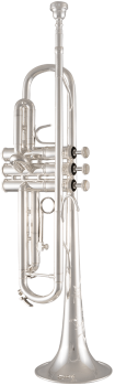 image of a TR200S Premium Bb Trumpet
