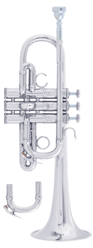 image of a AE190S Professional Eb Trumpet